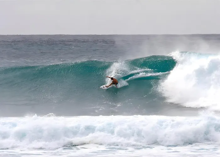 Maison De A L'ocean * Hourtin-Plage
